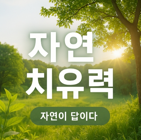 자연 사진