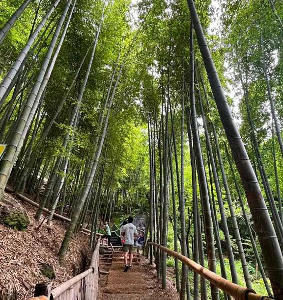 거제맹종죽테마파크