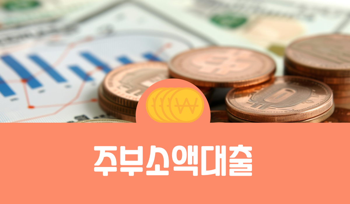주부소액대출