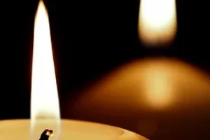 반려동물 행동교정사 자격증