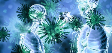 기후 변화에 따른 새롭게 등장하는 감염병: 환경 변화와 건강 위기의 상관관계