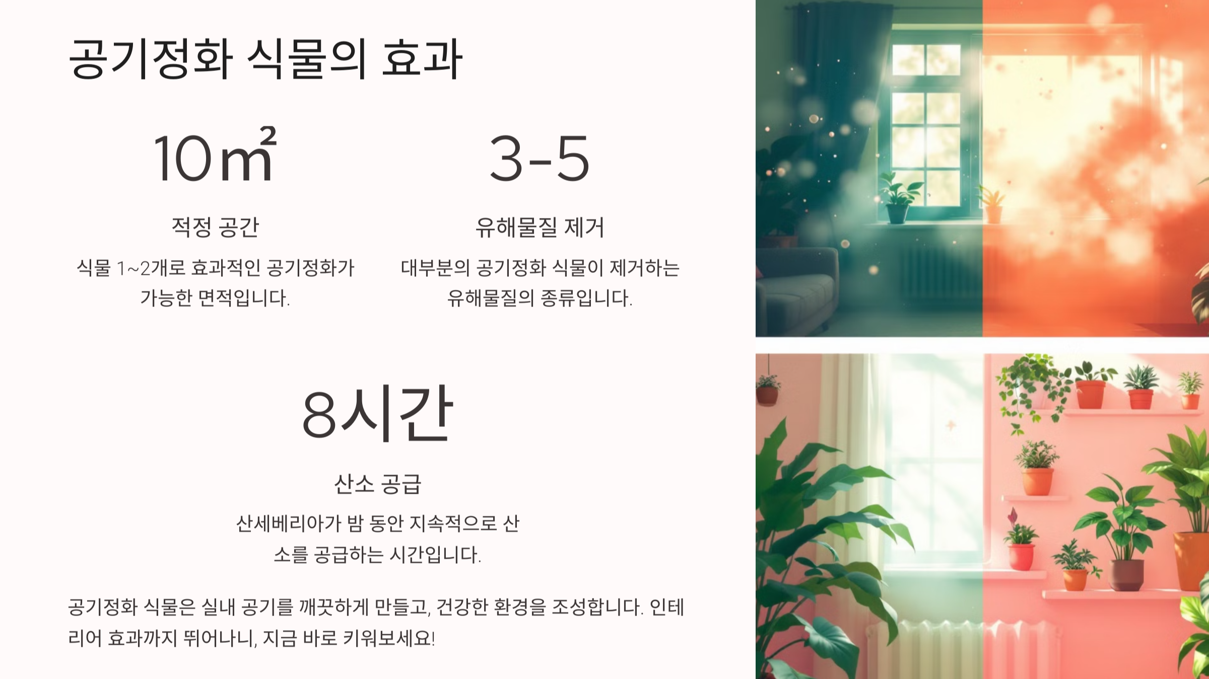 공기정화 식물 사진