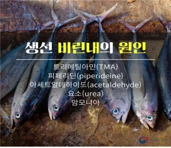 생선 비린내 프라이팬 소금 굽기와 환기 창문 열기_4