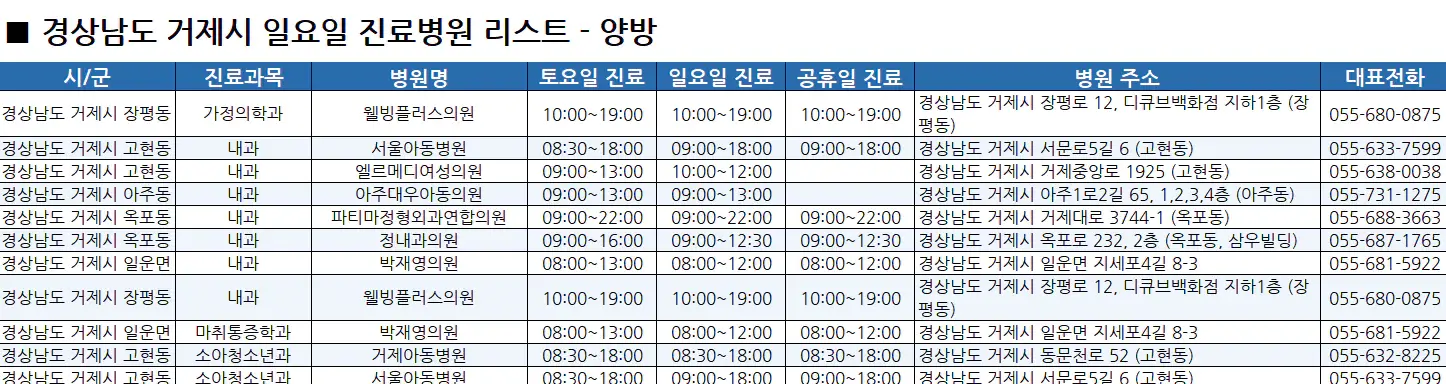 거제시-일요일-진료병원-리스트-예시