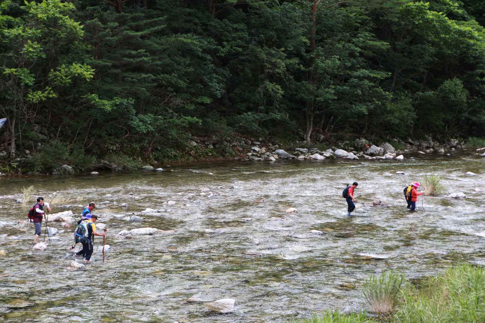 인제 아침가리골 트레킹