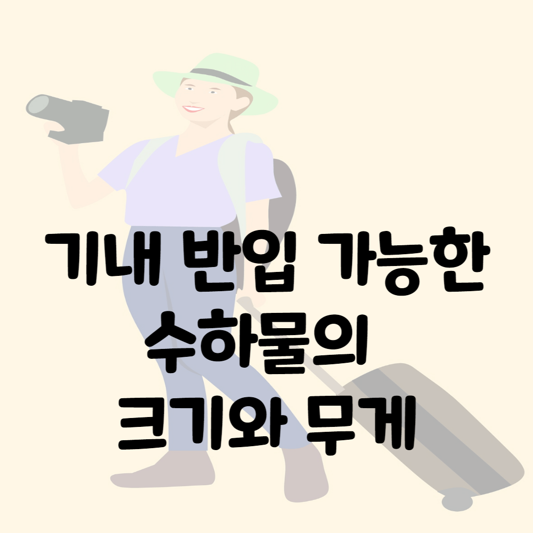 기내 수하물