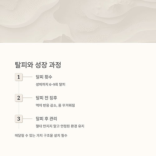 탈피와 성장 과정의 이해