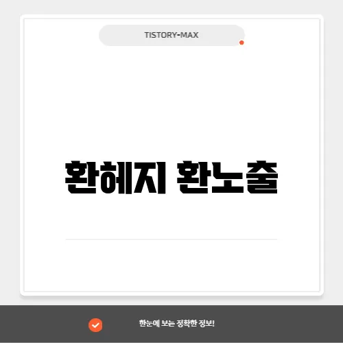 환헤지 환노출