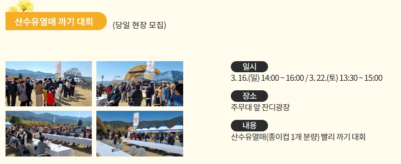 구례 산수유축제 기간 초대가수 맛집 주차