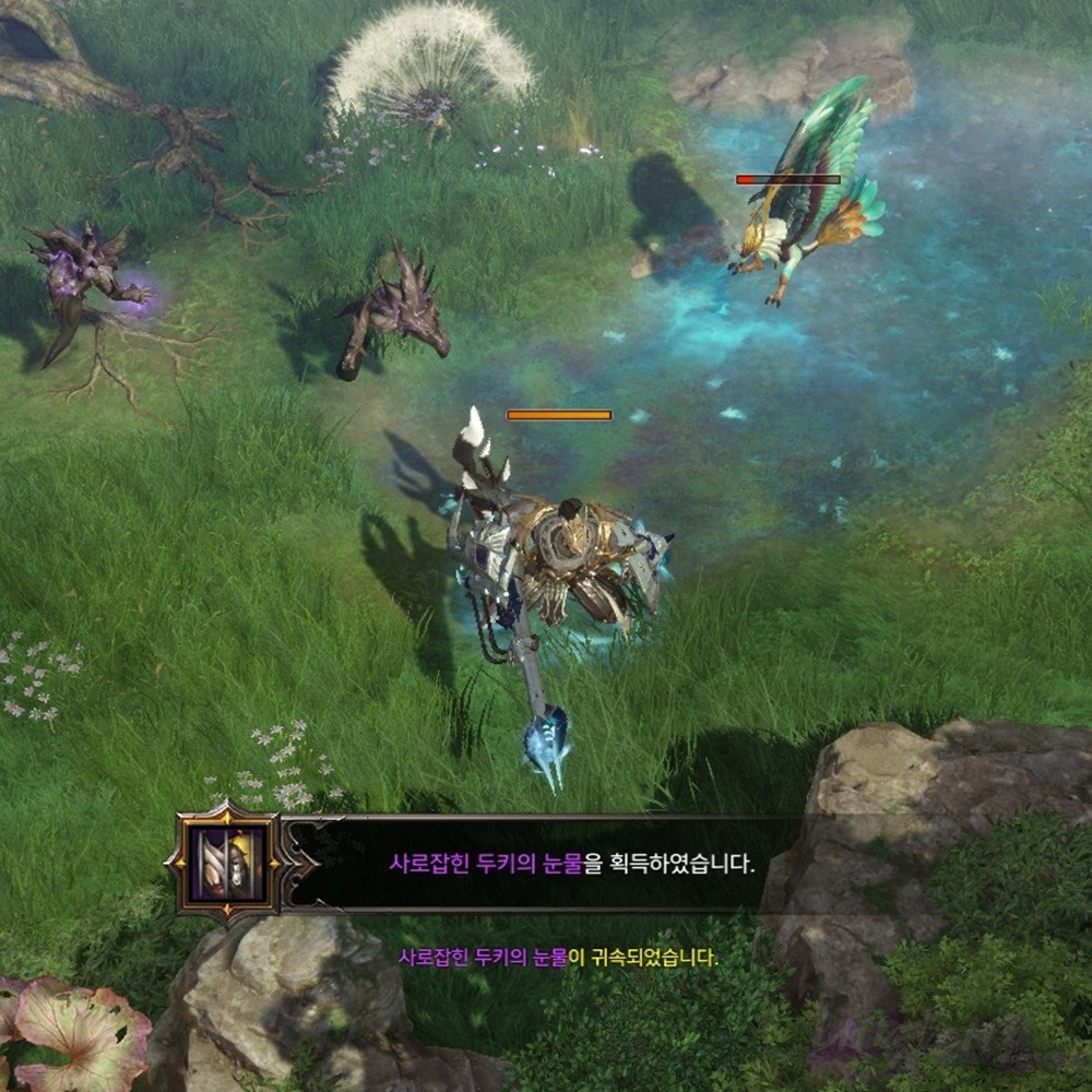 사로잡힌 두키의 눈물 획득