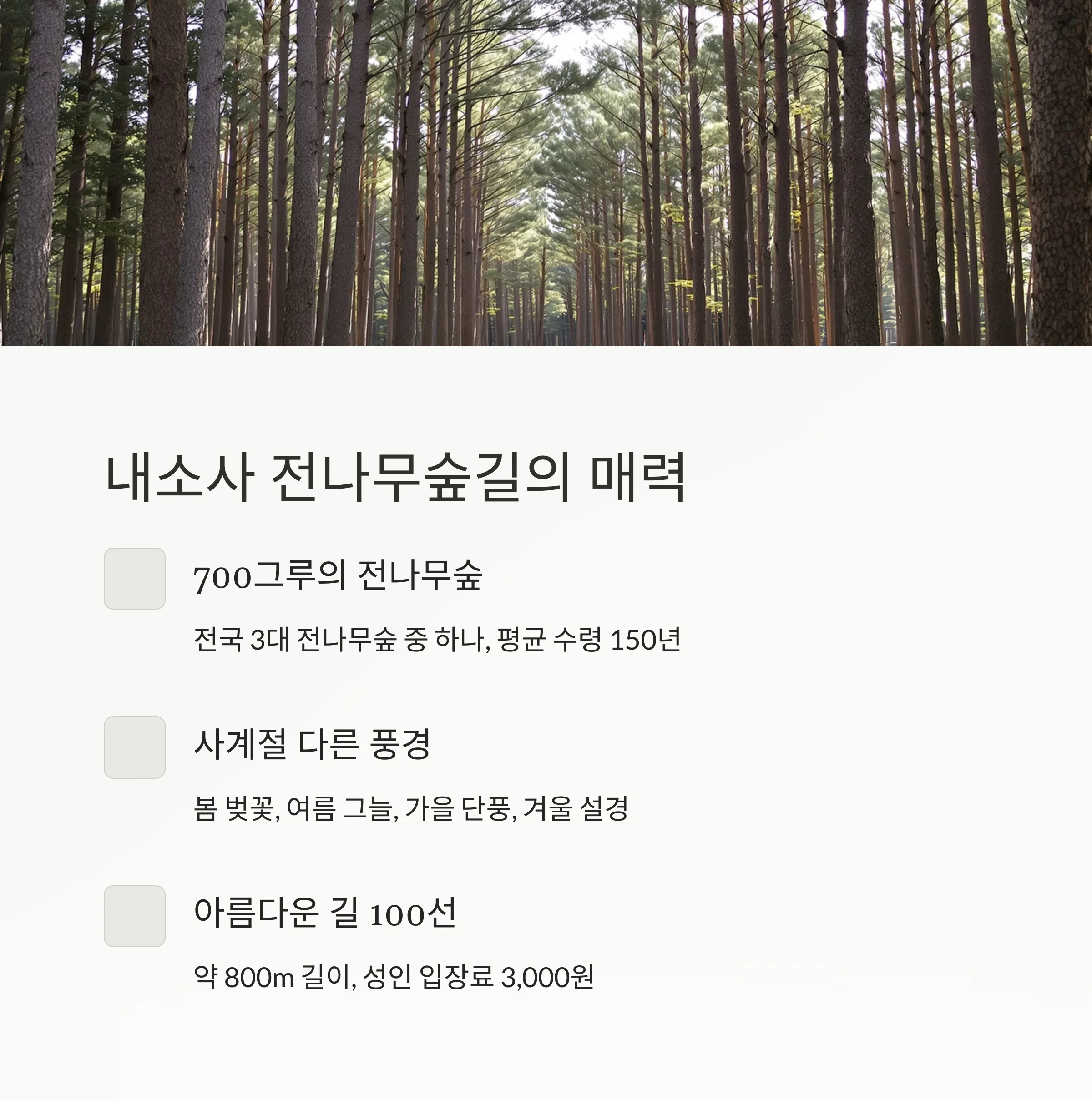 전북 부안 내소사 전나무숲길 &amp; 변산반도