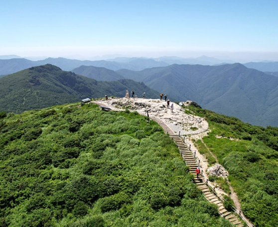 밀양 반값 여행 지원금 신청방법