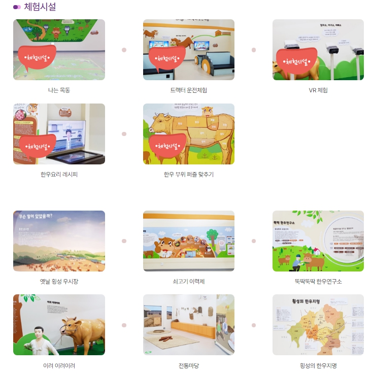 횡성한우체험관06