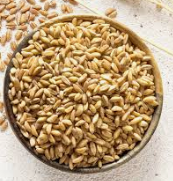 파로 곡물 효능 먹는 법 부작용 정리 ✅