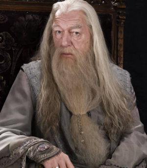 해리포터 덤블도어 역 마이클 갬본