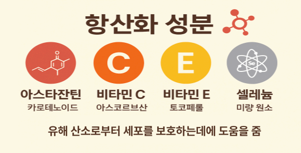 미세조류는 왜 ‘슈퍼푸드’인가?