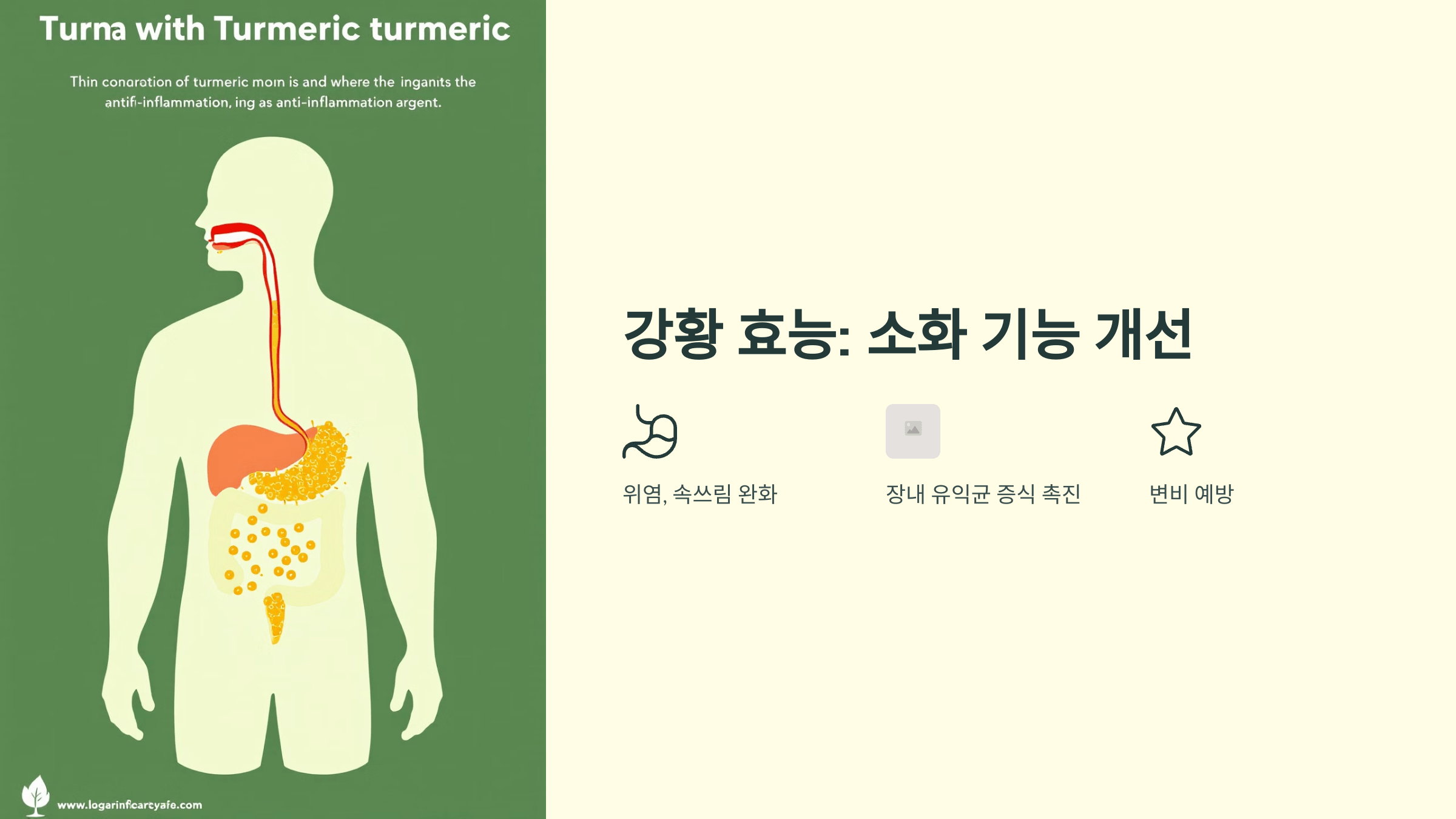 강황 사진입니다.