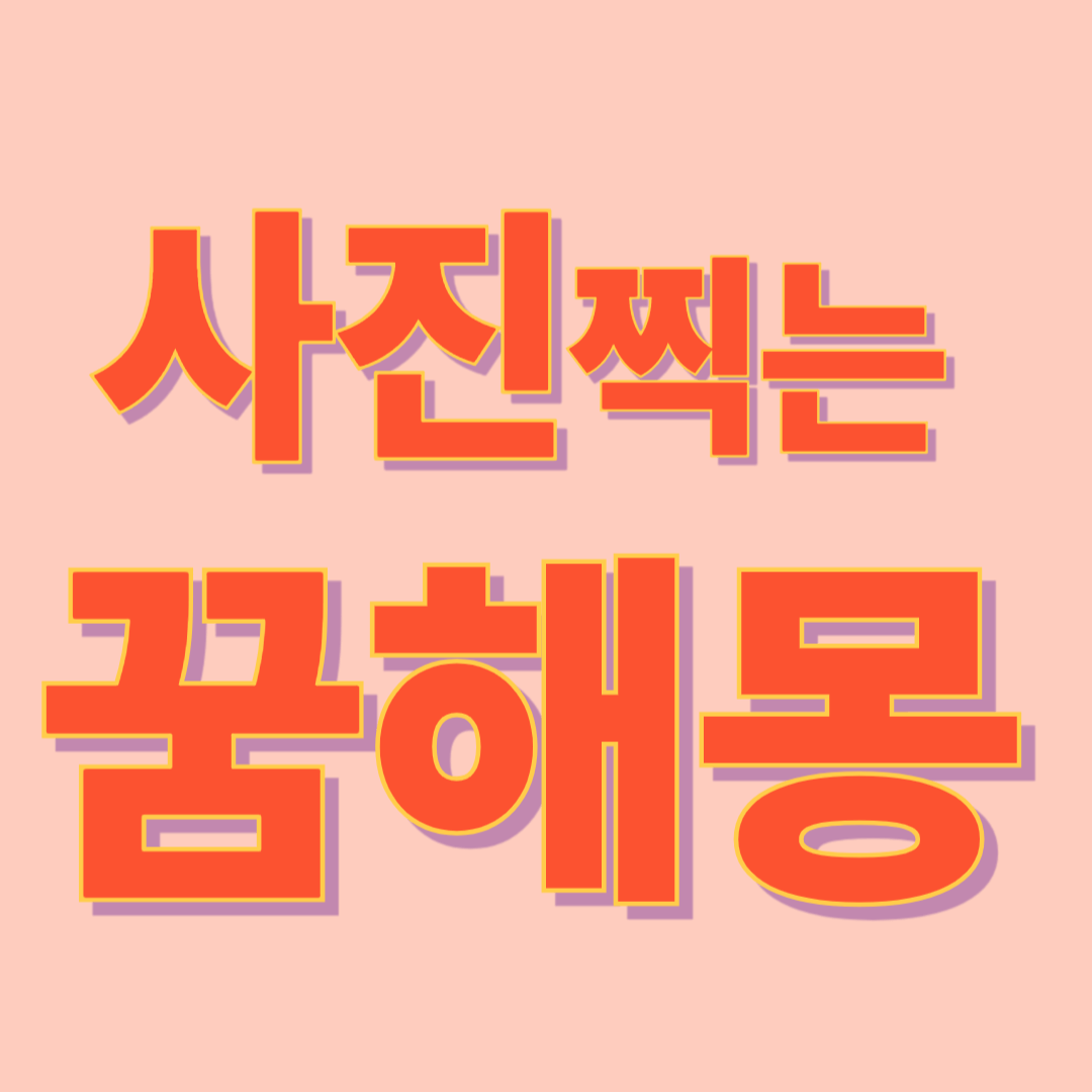 사진 찍는 꿈 해몽