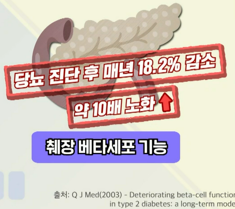 세리포리아 락세라타 효능