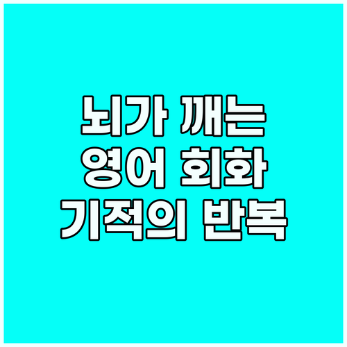 영어 회화 뇌 과학 기반 간격 반복 ..
