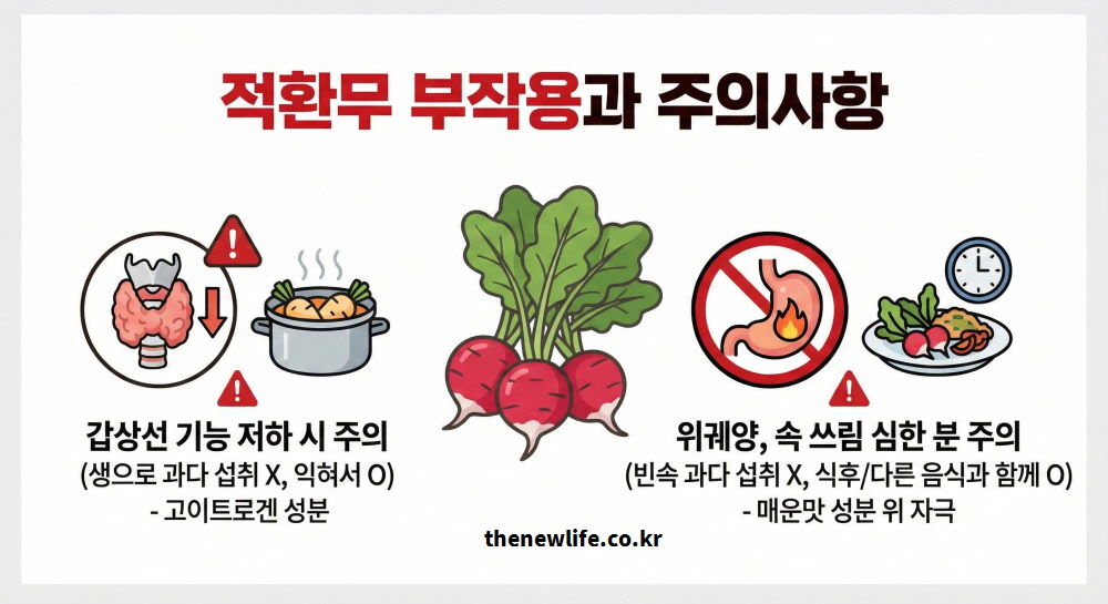 적환무 부작용과 주의사항으로 갑상선 기능 저하와 위궤양 및 속 쓰림이 있는 경우 섭취 방법을 설명하는 인포그래픽