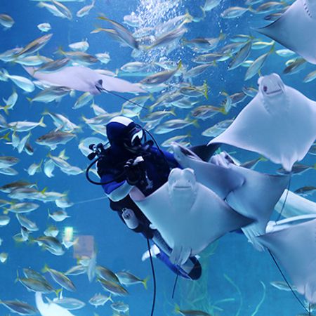 대구아쿠아리움