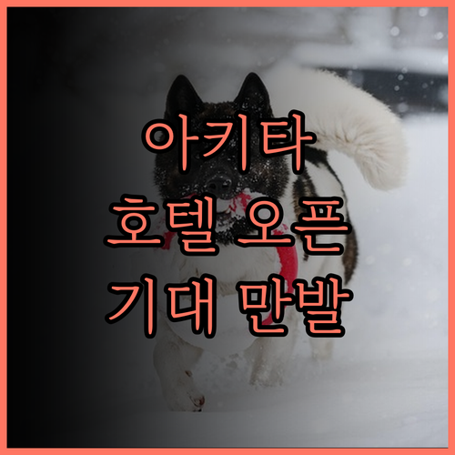 다이와 로이넷 호텔 아키타에키마에,