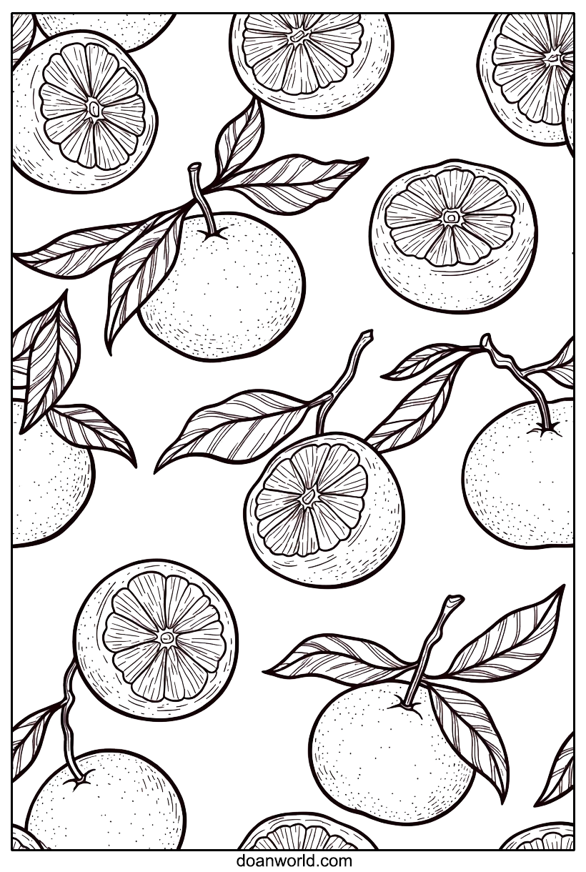 귤 색칠공부 도안