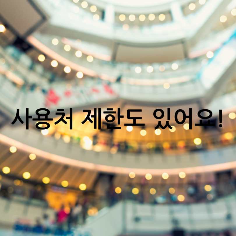 2025 민생회복 소비쿠폰 사용처 제한