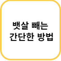 뱃살 빼는 법