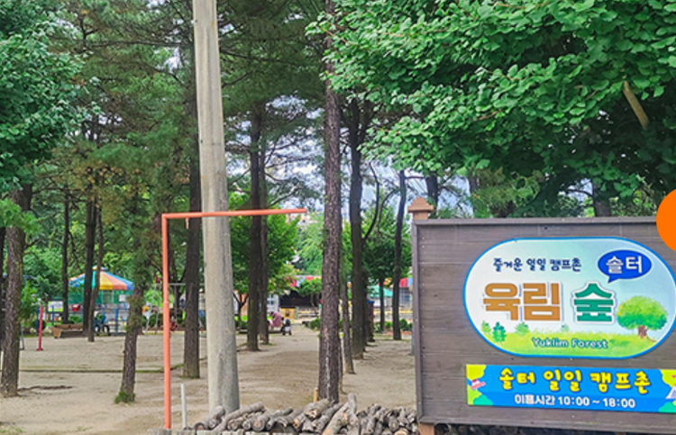 춘천 육림랜드