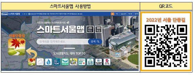 서울시 추천 가볼 만한 단풍길 96선