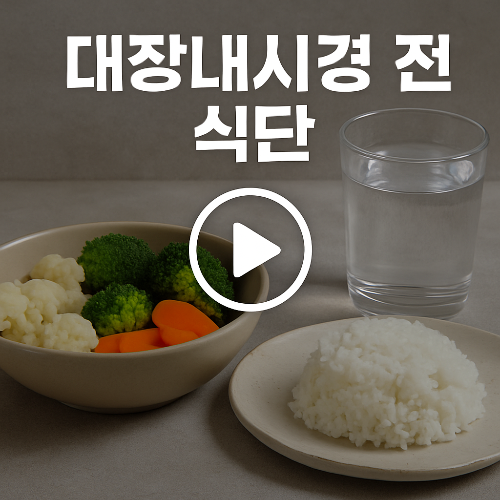 대장내시경 전 음식