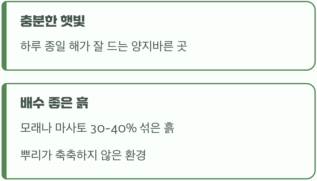 바다의 꽃이 사랑하는 두 가지