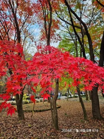 단풍구경 전국 명산 50대 이상 안전한 등산로 추천_13