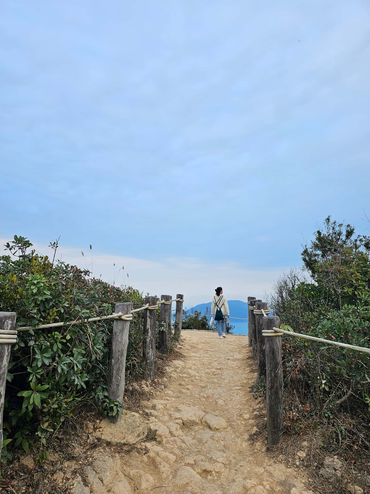 드래곤즈 백 후기