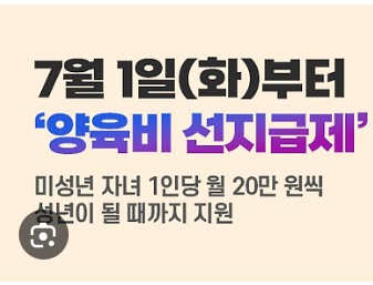 양육비 선지급금 