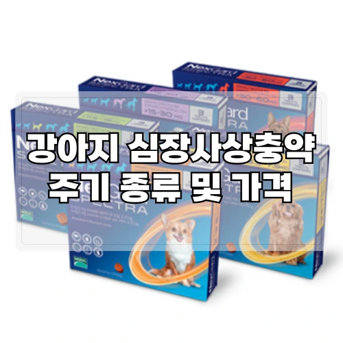 강아지-심장사상충약-주기-종류-가격