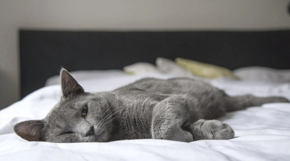 40대 50대 우울증 원인과 관리방법