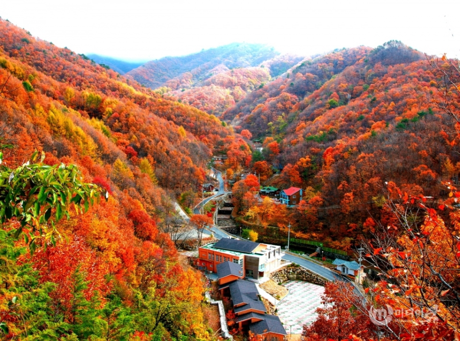 영동 가볼만한 곳