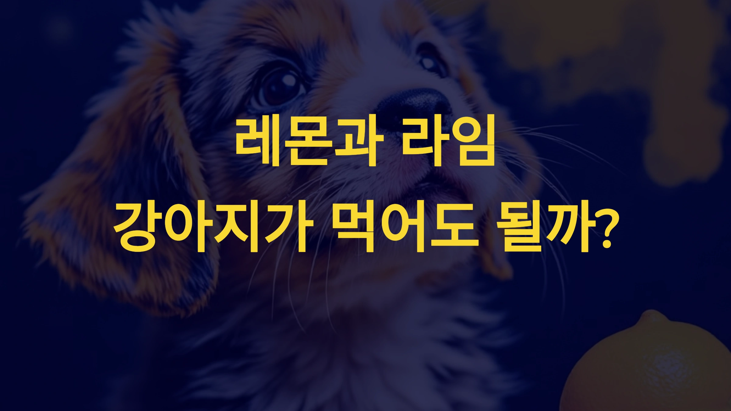 레몬과 라임, 강아지가 먹어도 될까?