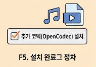 daum potplayer 코덱 설치 화면