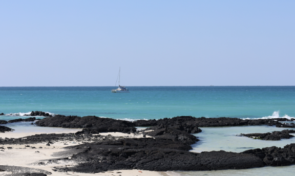 제주 시티투어버스 예약