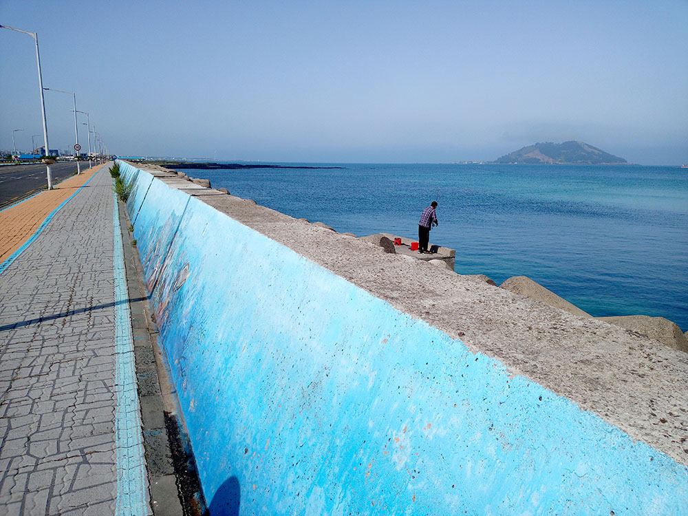 올레14코스: 한림항에서 저지예술정보화마을까지