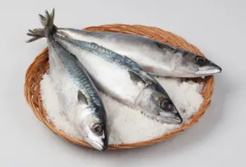 고등어 효능 및 가격&amp;#44; 영양소