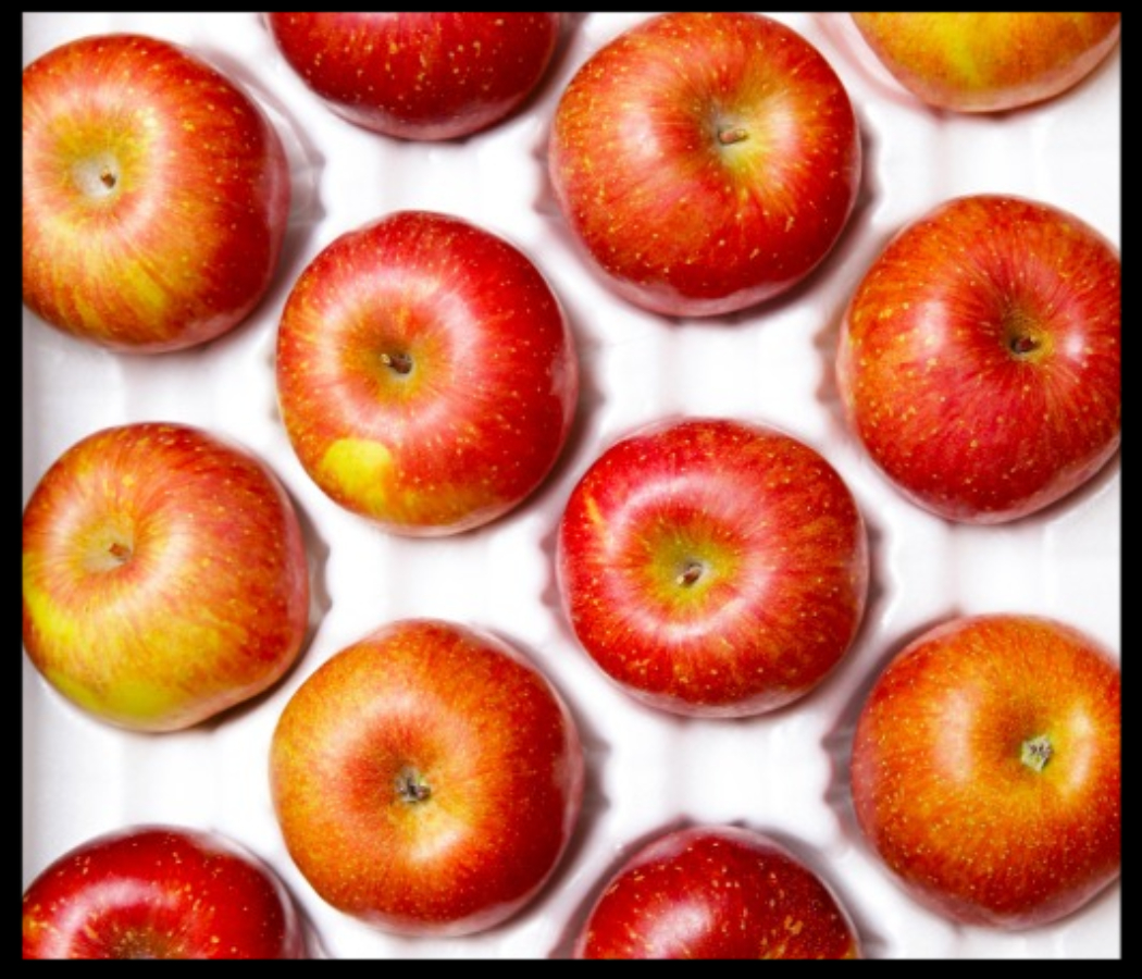 사과 효능 10가지 대해서
