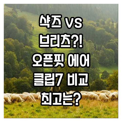 샥즈 오픈핏 에어 vs 브리츠 BZ-..