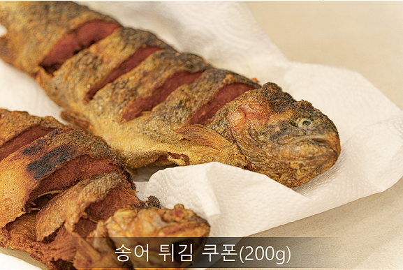 돔빙송어패키지