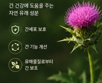 밀크씨슬 효과와 복용법