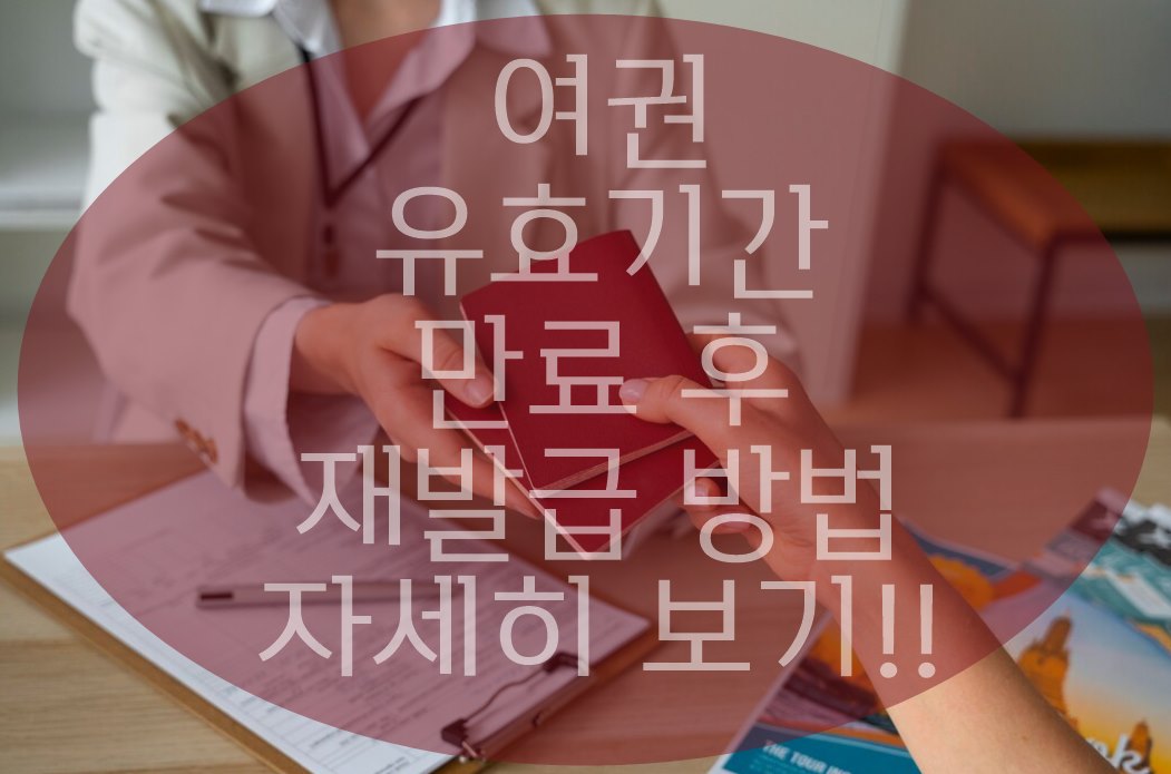 여권 만료 후 재발급 신청!! 완벽 정리!!